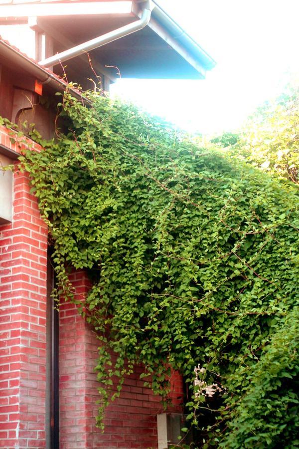 Oina Studios Cluj-Napoca Exterior photo